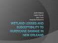 Hurricanes quickly lose force when they hit land, but Ne