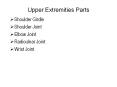 Upper Extremities Parts Shoulder Girdle Shoulder Joint Elbo