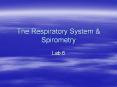 The Respiratory System & Spirometry Lab 6 Lab 6 Activitie