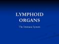 LYMPHOID ORGANS The Immune System Functions of Immune Syste