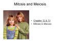 Mitosis and Meiosis Chapter 12 & 13 Mitosis & Meiosis Nex