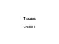 Tissues Chapter 5 Tissues A tissue is a group of simila