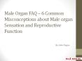 Male Organ FAQ – 6 Common Misconceptions about Male organ Sensation and Reproductive Function