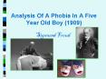 Phobia Essay