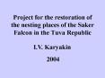 Project for the restoration of the nesting places of the Saker Falcon in the Tuva Republic