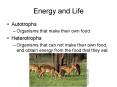 Energy and Life