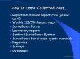 Reportable disease report card yellow card