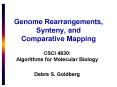 Genome Rearrangements, Synteny, and Comparative Mapping