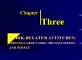 WORKRELATED ATTITUDES: