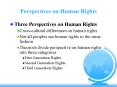 Perspectives on Human Rights