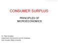 CONSUMER SURPLUS