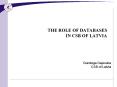 THE ROLE OF DATABASES IN CSB OF LATVIA