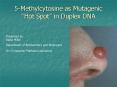 5Methylcytosine as Mutagenic Hot Spot in Duplex DNA