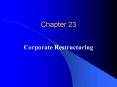 Corporate Restructuring