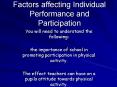Factors affecting Individual Performance and Participation
