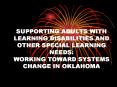 SUPPORTING ADULTS WITH LEARNING DISABILITIES AND OTHER SPECIAL LEARNING NEEDS: WORKING TOWARD SYSTEM