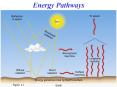 Energy Pathways