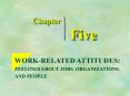 WORKRELATED ATTITUDES: