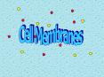 Cell Membranes