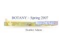 BOTANY Spring 2007