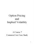 Option Pricing and Implied Volatility