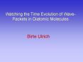Watching the Time Evolution of WavePackets in Diatomic Molecules