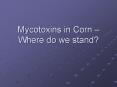 Mycotoxins in Corn Where do we stand