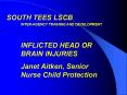 SOUTH TEES LSCB