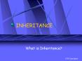 INHERITANCE