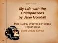 My Life with the Chimpanzees by Jane Goodall