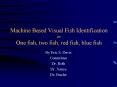 Machine Based Visual Fish Identification or One fish, two fish, red fish, blue fish