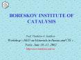 BORESKOV INSTITUTE OF CATALYSIS