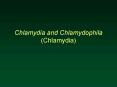 Chlamydia and Chlamydophila Chlamydia