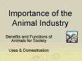 Importance of the Animal Industry