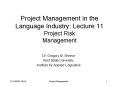 Project Management in the Language Industry: Lecture 11 Project Risk Management