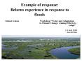 Example of response: Belarus experience in response to floods