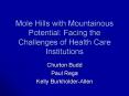 Mole Hills with Mountainous Potential: Facing the Challenges of Health Care Institutions