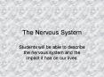 The Nervous System