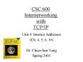 CSC 600 Internetworking with TCPIP