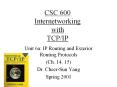 CSC 600 Internetworking with TCPIP