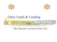 Dairy Feeds