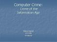 Computer Crime: Crime of the Information Age