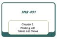MIS 431