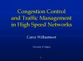 Congestion Control and Traffic Management in High Speed Networks