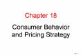 Consumer Behavior and Pricing Strategy