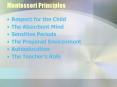 Montessori Principles