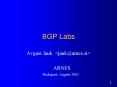 BGP Labs