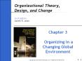Organizational Theory, Design, and Change Sixth Edition Gareth R. Jones