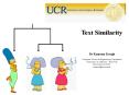 Text Similarity