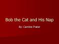 Bob the Cat and His Nap